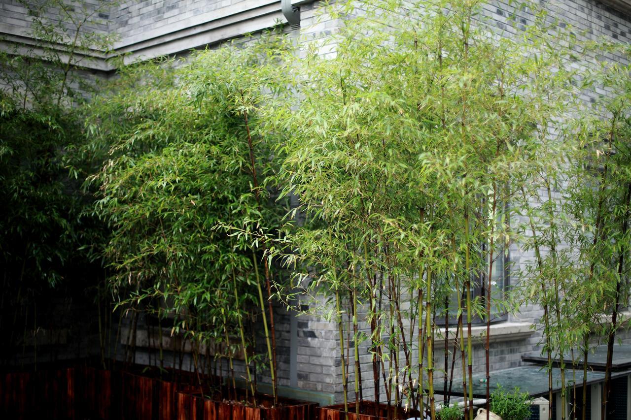 Study Resort Ningbo Exterior photo